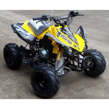 Jinyi 110cc billiger Quad Bike ATV (JY-100-1A)